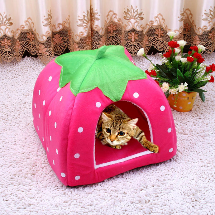 Cute Foldable Cat Kitten House