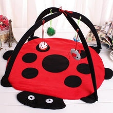 Pet Cat Bed Cat Play Tent Toys Mobile