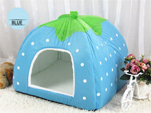 Cute Foldable Cat Kitten House