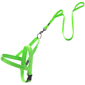 No Pull Reflective Dog Harness Leash Set