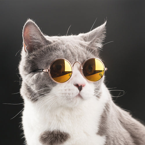 Fashion Cat Sunglasses