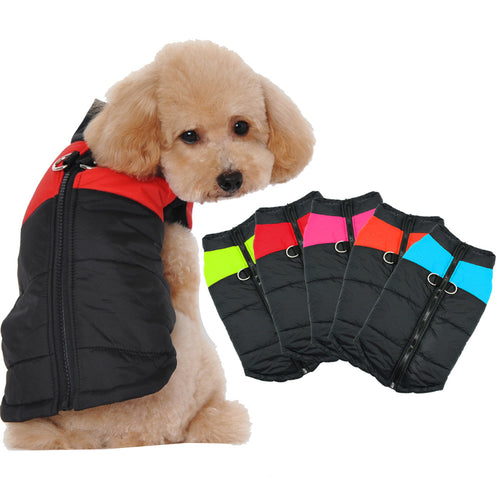 Dog Clothes For Small Dogs Winter Puppy
